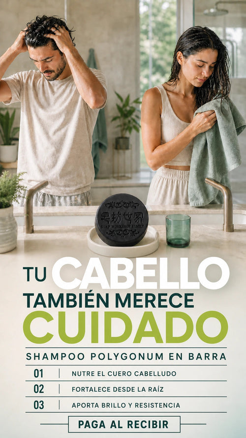 Shampoo sólido Polygonum para el cuidado capilar